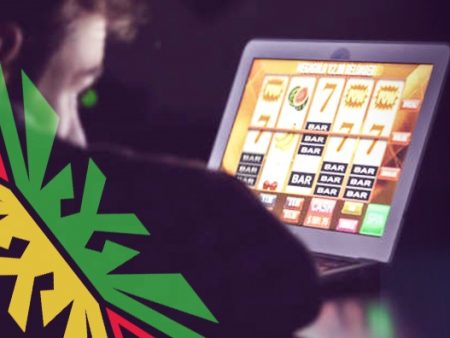 The Beginner’s Guide to Online Gambling